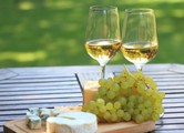 יוצאים מהמרתף. (images/blog/8d7dd3ff_wine)