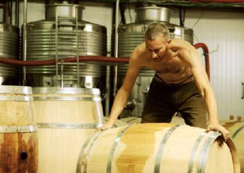 Pelter Winery (יח"ץ יקב פלטר)