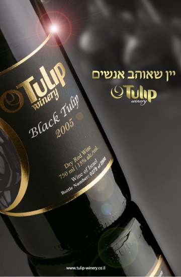 יקב טוליפ (יח"ץ יקב טוליפ)