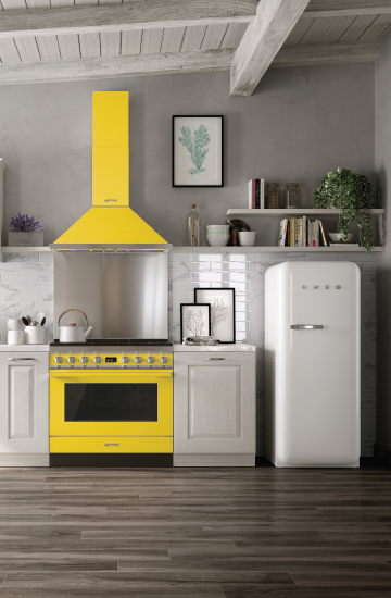 SMEG (צילום: יח"ץ SMEG)