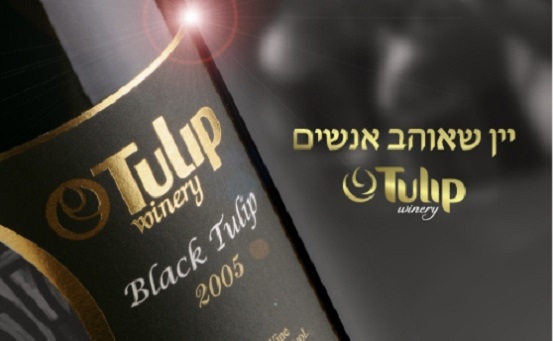 יקב טוליפ (יח"ץ יקב טוליפ)