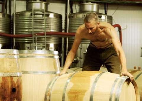 Pelter Winery (יח"ץ יקב פלטר)