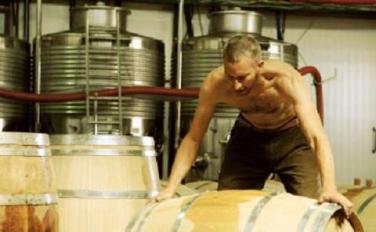 PELTER WINERY / יקב בוטיק
