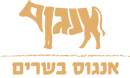 מקדש של בשר ! 